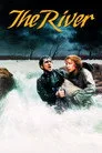 The River Film Posteri