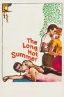 The Long, Hot Summer Film Posteri