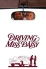 Bayan Daisy'nin Şoförü Film Posteri