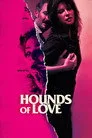 Av Köpekleri Film Posteri