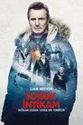 Soğuk İntikam Film Posteri