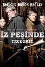 İz Peşinde Film Posteri