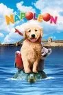Napoleon Film Posteri