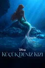 Küçük Deniz Kızı Film Posteri