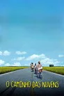 The Middle of the World Film Posteri