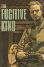 The Fugitive Kind Film Posteri