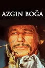 Azgın Boğa Film Posteri