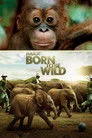 Born to Be Wild Film Posteri