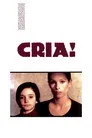 Besle Kargayı Film Posteri