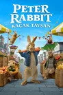 Tavşan Peter: Kaçak Tavşan Film Posteri