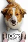 Dostumun Yolculuğu Film Posteri