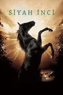 Siyah İnci Film Posteri