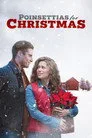 Poinsettias for Christmas Film Posteri