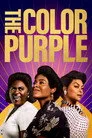 The Color Purple Film Posteri