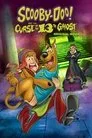 Scooby-Doo ve On Üçüncü Hayaletin Laneti Film Posteri