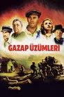 Gazap Üzümleri Film Posteri