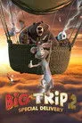 Büyük Macera 2: Sürpriz Misafir Film Posteri