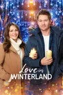 Love in Winterland Film Posteri