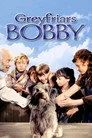 Greyfriars Bobby Film Posteri