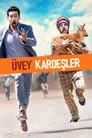 Üvey Kardeşler Film Posteri
