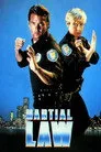 Martial Law Film Posteri