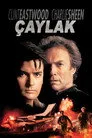 Çaylak Film Posteri