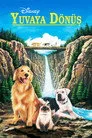 Yuvaya Dönüş Film Posteri