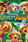 Hayalet Patiler Film Posteri