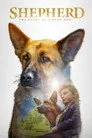 Shepherd: The Story of a Jewish Dog Film Posteri