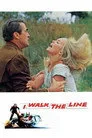 Sevgilimin Oyunu Film Posteri