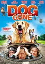Köpek Firarda Film Posteri