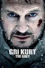 Gri Kurt Film Posteri