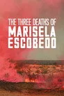 The Three Deaths of Marisela Escobedo Film Posteri