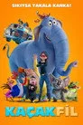 Kaçak Fil Film Posteri