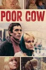 Poor Cow Film Posteri