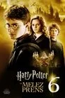 Harry Potter ve Melez Prens Film Posteri