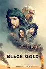 Kara Altın Film Posteri