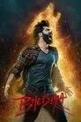 Bhediya Film Posteri