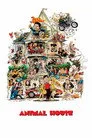 Çılgınlar Okulu Film Posteri