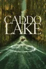 Caddo Lake Film Posteri