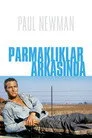 Parmaklıklar Arasında Film Posteri