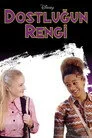 Dostluğun Rengi Film Posteri