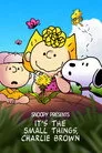 Snoopy Presents: It's the Small Things, Charlie Brown Film Posteri