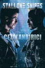 Cezalandırıcı Film Posteri