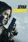 Siyah Kanarya Film Posteri