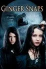 Vahşet Film Posteri
