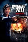 Yolun Sonu: Adalet Film Posteri