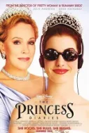 Acemi Prenses Film Afişi