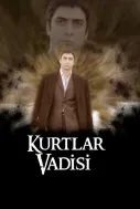 Kurtlar Vadisi Film Afişi