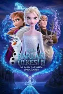 Karlar Ülkesi Film Afişi
